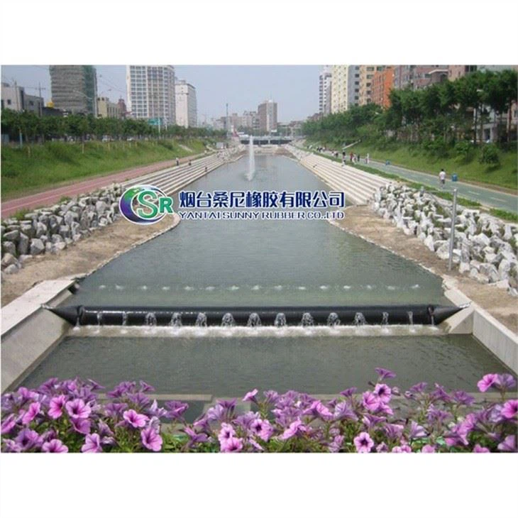 국제 표준 팽창식 댐