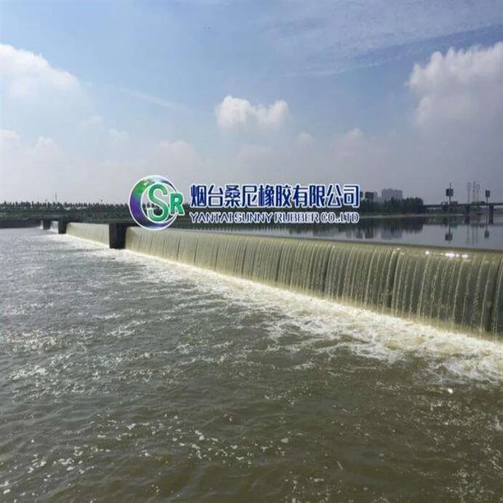 진공 필터용 SBR 및 EPDM 고무 멤브레인/고무 다이어프램